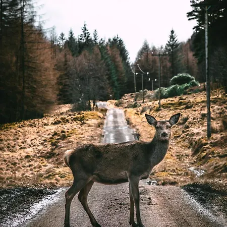 Pod Kapličkou Malá Morávka