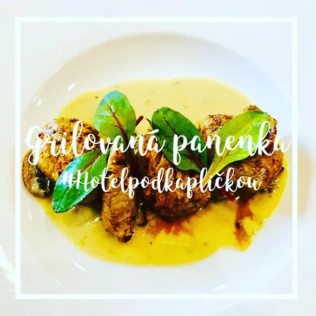 Pod Kaplickou Szálloda