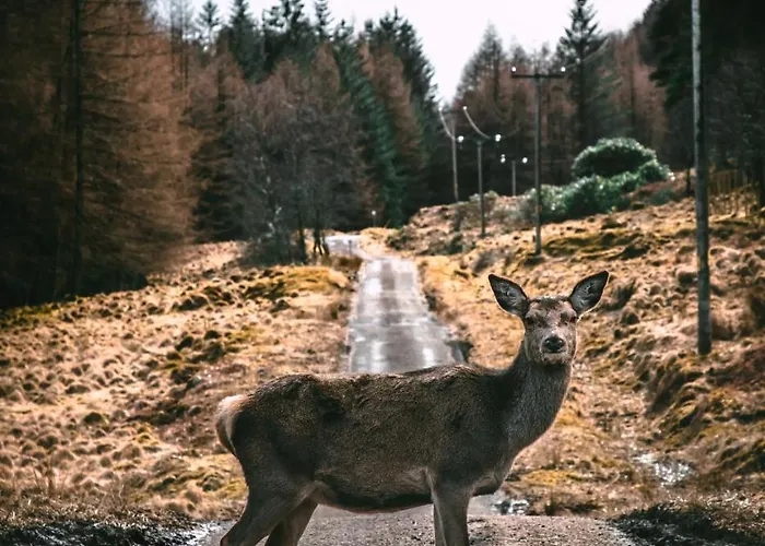 Pod Kaplickou Malá Morávka