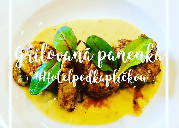 Pod Kaplickou Hotell